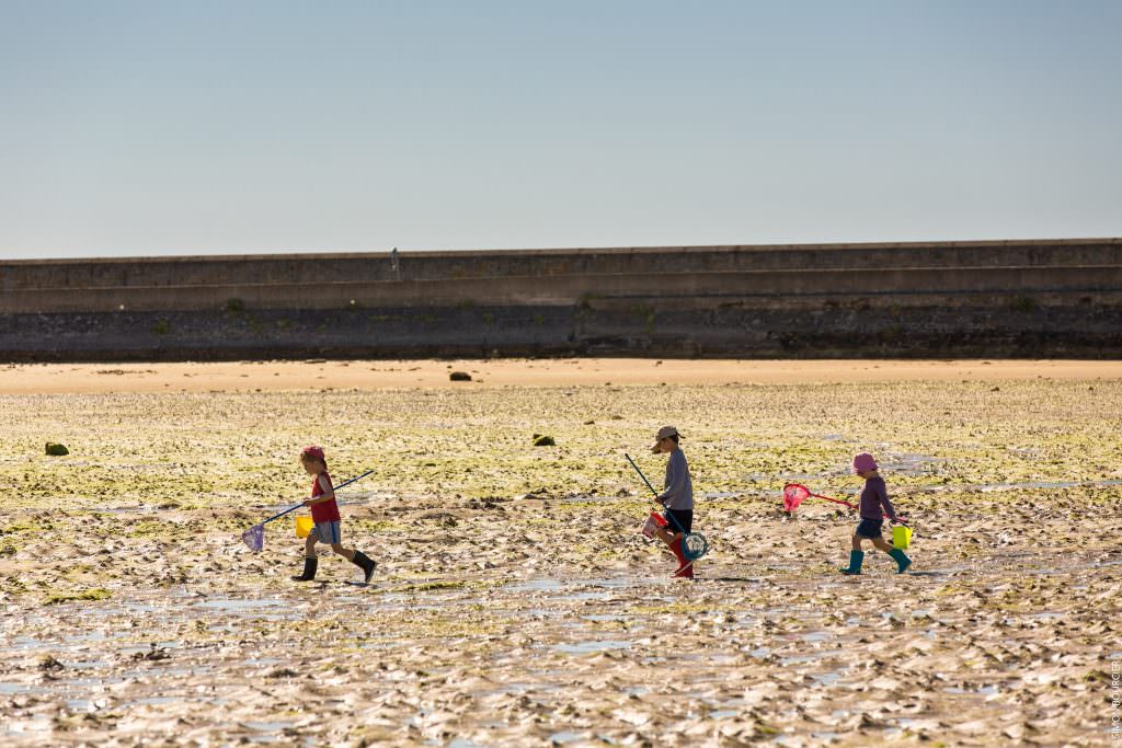 Gâvres, pêche à pied en famille sur la presqu'île de gâvres