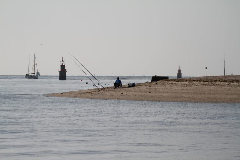 pesca con caña