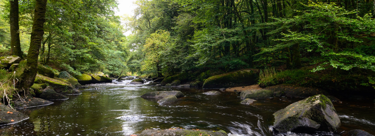 Le Scorff - Pont Calleck