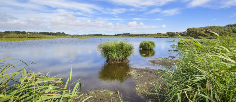 Etang de Lannenec sur la route côtière
