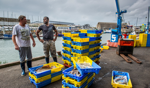 Llegada de la mercancia al puerto de pesca de Lorient (Bretaña del Sur, Francia)